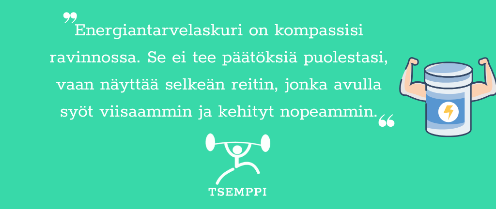 Tsemppi Energiantarvelaskuri